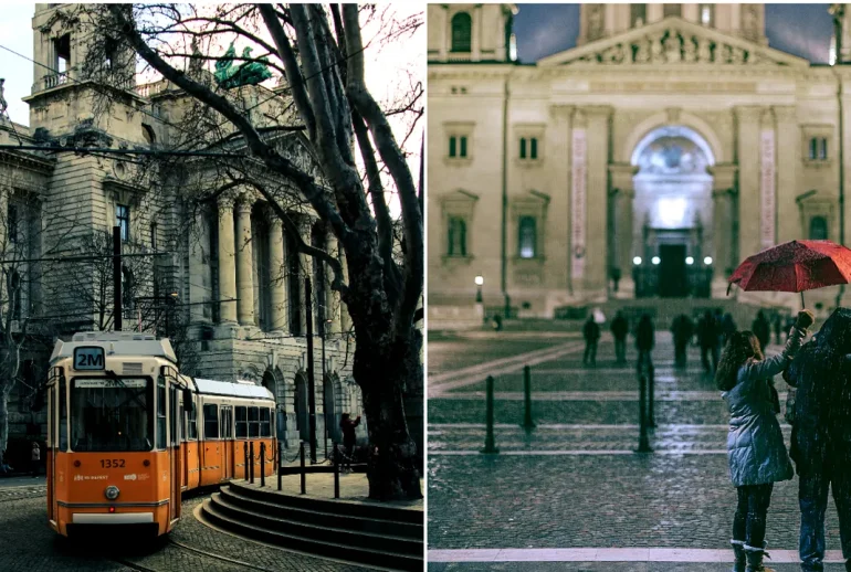 amendă
