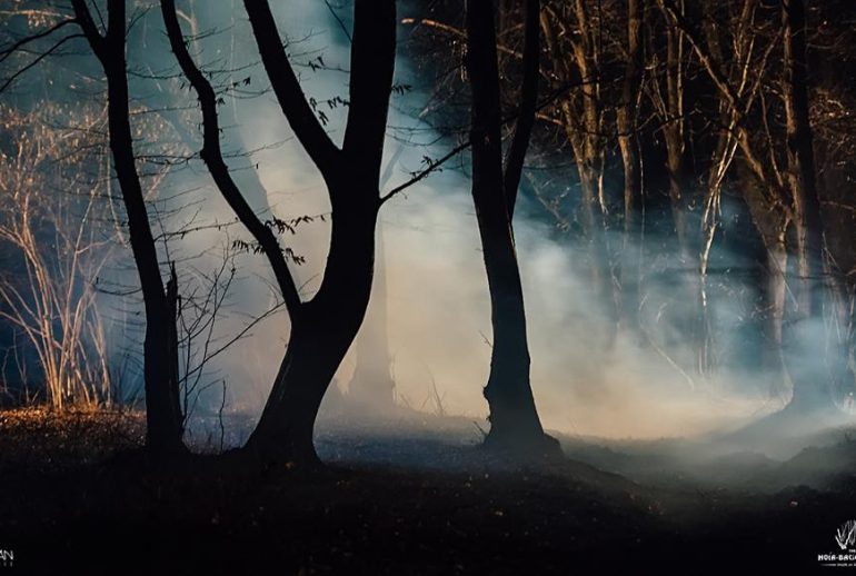 hoia-baciu-documentar-cluj