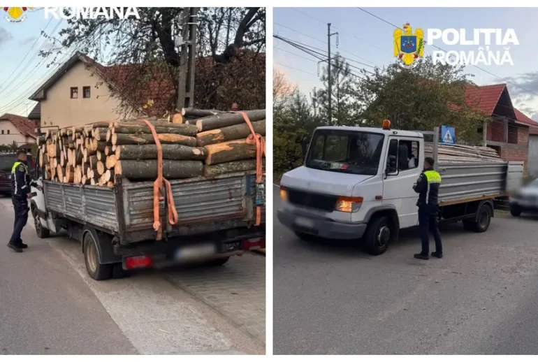 Transport ilegal de lemne: cinci sancțiuni în județul Cluj