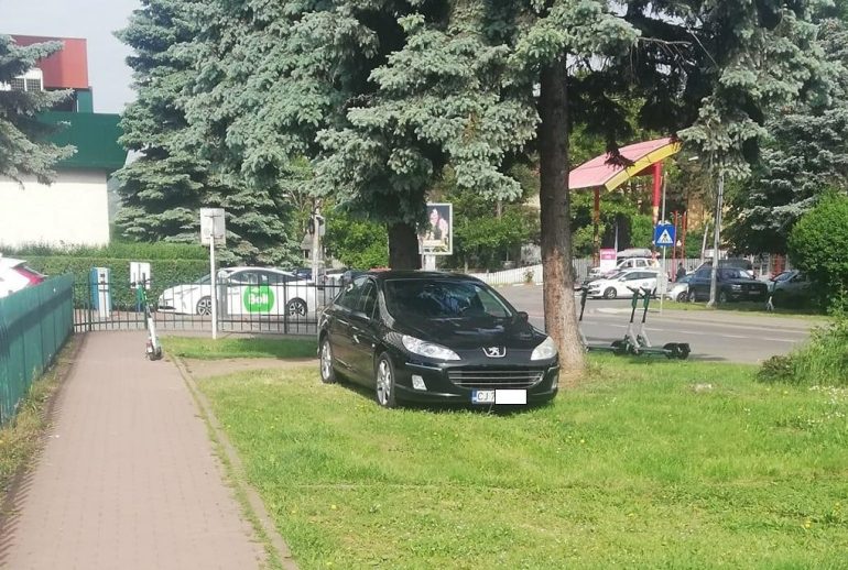 umbră (2)