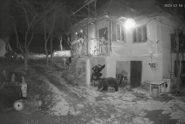 urs tureni
